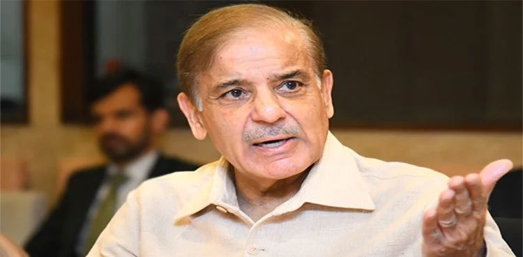 PM Shehbaz Sharif says SC's verdict hurt expectations for justice