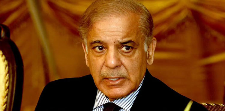 PM Shehbaz announces financial assistance to rain affectees