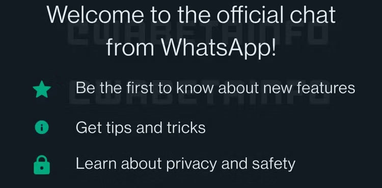 WhatsApp to introduce chatbox telling what's new after update