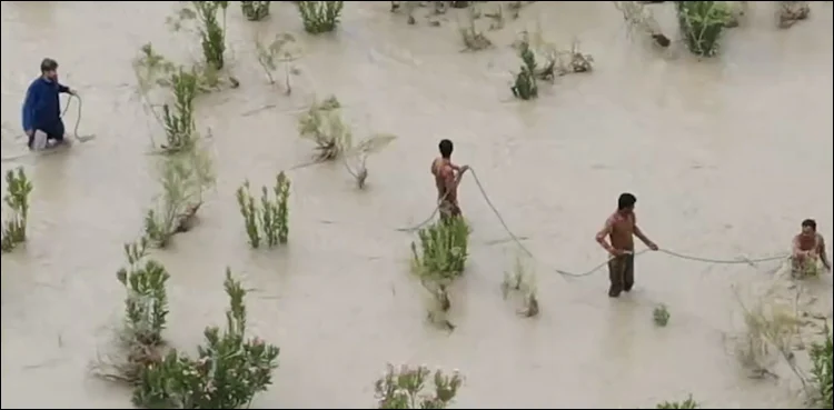 Balochistan: 62 people killed in rain-related incidents