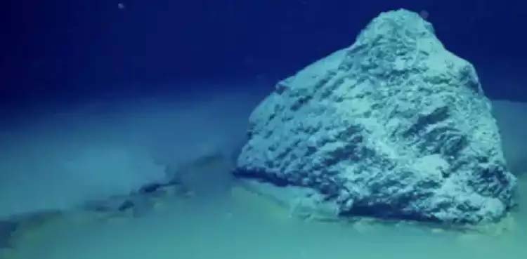 This pool at bottom of sea kills anything that swims into it. Know Why?