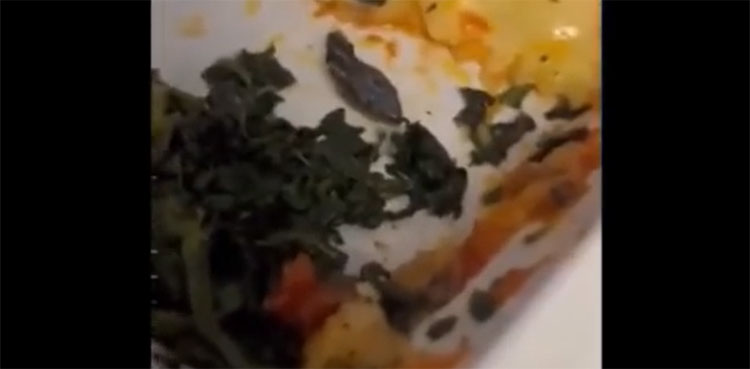 Flight attendant finds severed snake's head mid-flight, video goes viral