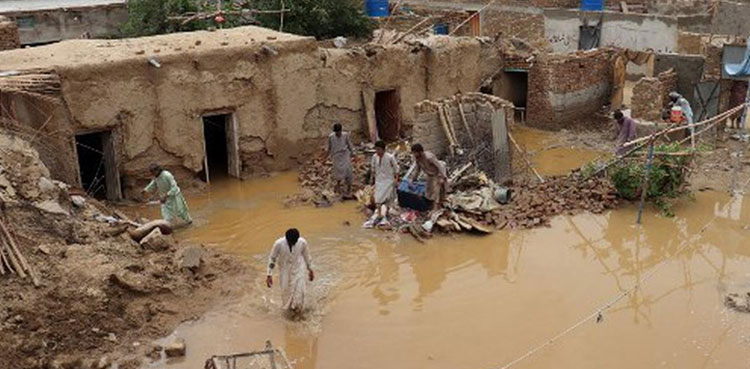 Govt to hold donors’ conference for rehabilitation of flood-hit areas