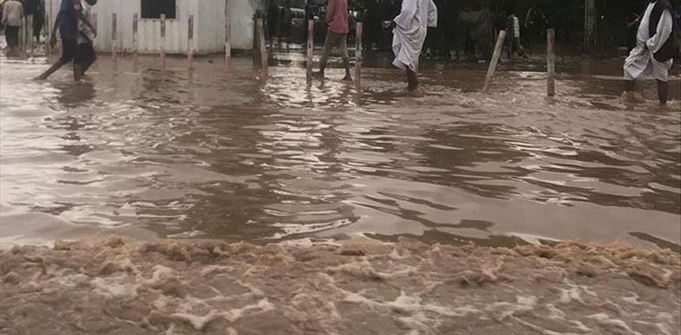Chad's capital suffers major floods