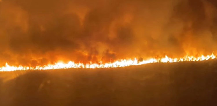 Wildfires rage in France, thousands evacuated from homes