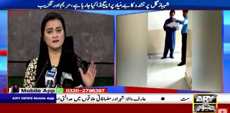 Marriyum Aurangzeb denies torture on Gill, dubs it 'propaganda'