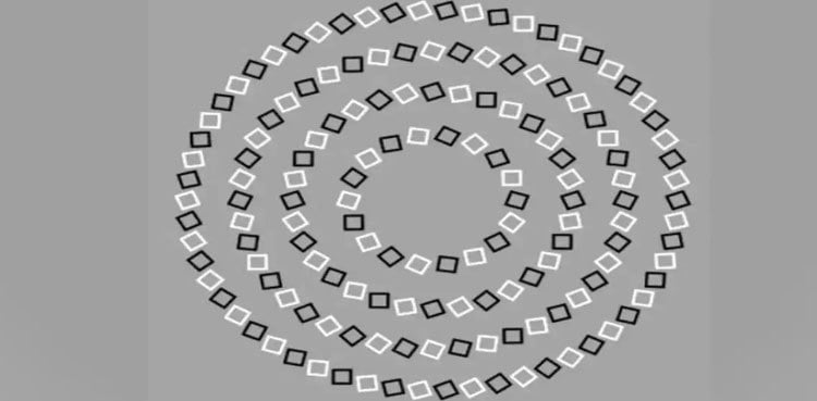 Optical illusion: Can you find the number of circles in this image?