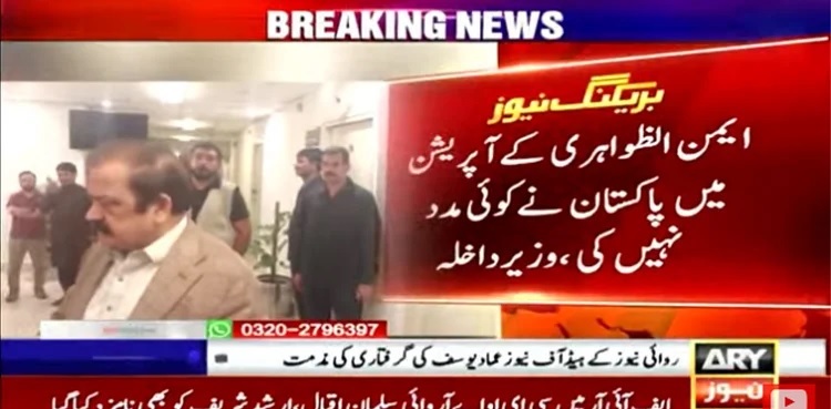 Pakistan did not help in Ayman al-Zawahiri's operation, says Rana Sanaullah