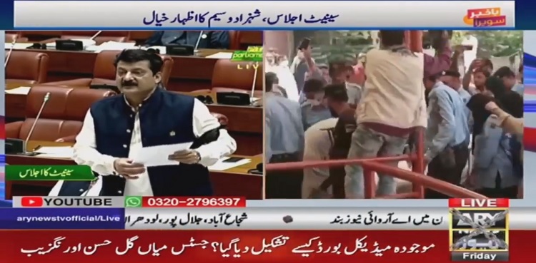 Shahbaz Gill: PTI protests in Senate against 'mistreatment'