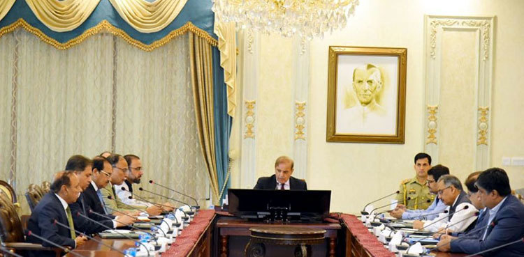 PM Shehbaz Sharif forms committee to resolve problems of foreign companies