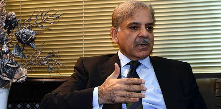 Shehbaz Sharif directs to gear up relief operations in flood-hit areas