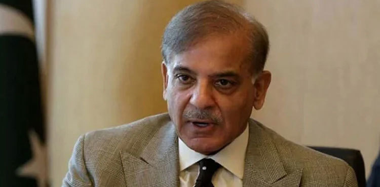 SCO moot: PM Shehbaz Sharif concludes 'satisfactory' Samarkand visit