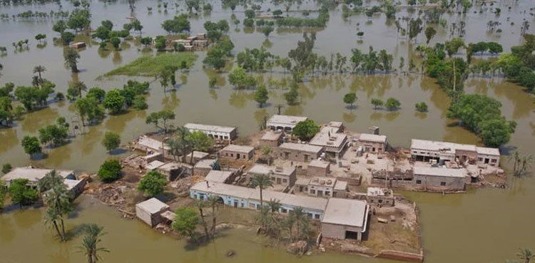 Sindh minister fears food crisis amid monsoon rains, floods