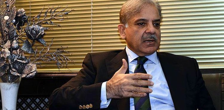 PM Shehbaz Sharif directs to accelerate relief efforts in flood-hit areas
