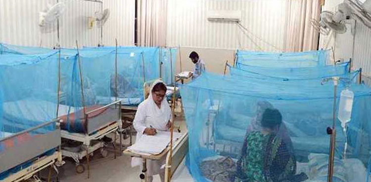 Dengue cases reach 5921 as 69 new cases reported in Rawalpindi