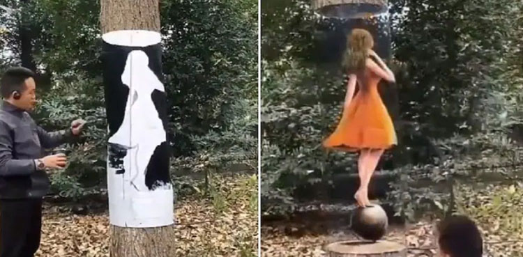 Viral: Artist creates optical illusion on a tree trunk