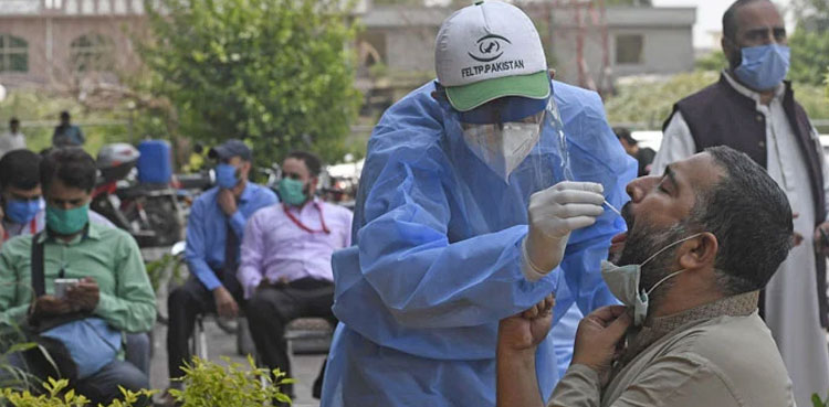 Pakistan reports most daily COVID-19 deaths in five months