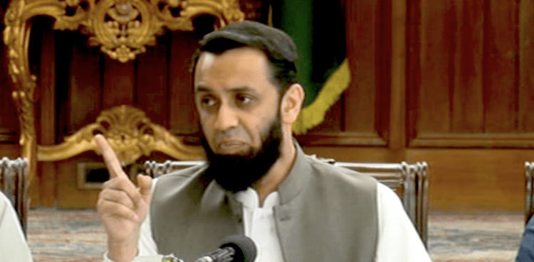 PML-N has simple majority in Punjab, says Ata Tarar