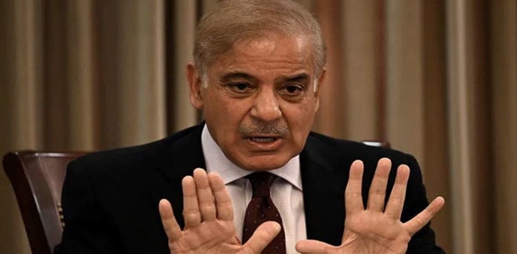 PM Shehbaz Sharif grieved over losses in Balochistan floods