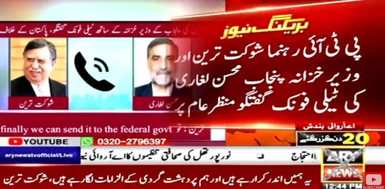 IMF deal: Shaukat Tarin's leaked audio surfaces