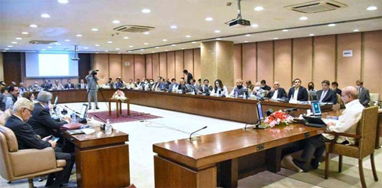 SAPMs, advisers to PM Shehbaz Sharif fail to disclose asset details