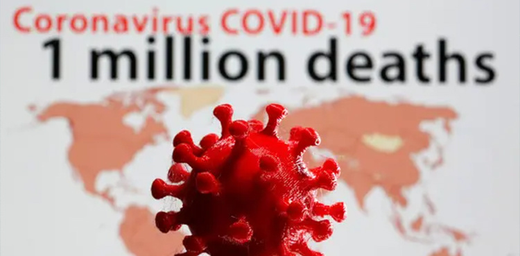 Time for Covid reality check after 1 mn deaths this year: WHO
