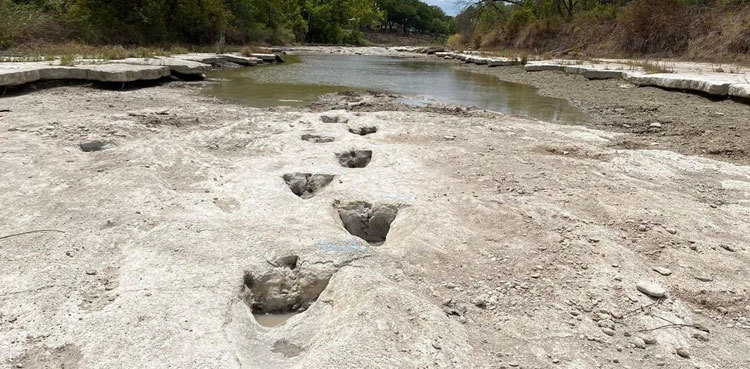 Drought uncovers dinosaur tracks in US park
