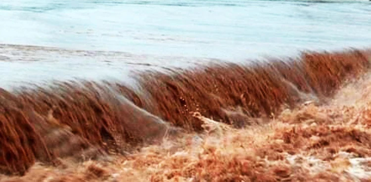 Turkiye: Planes carrying relief goods to reach Pakistan tomorrow