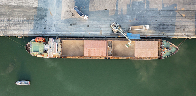 Four more ships with food cargo leave Ukrainian ports