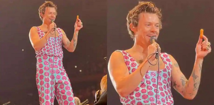 Harry Styles has 'chicken nuggets' thrown upon; his reaction was EPIC