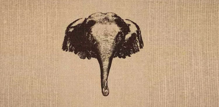 Optical illusion: Can you find two animals in 10 seconds?