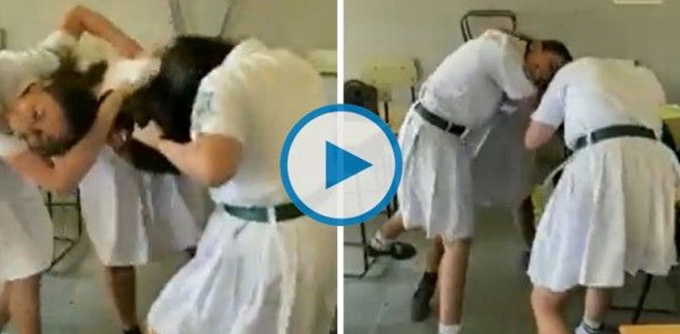 Viral video: Catfight breaks between school girls as they beat each other, pull hair