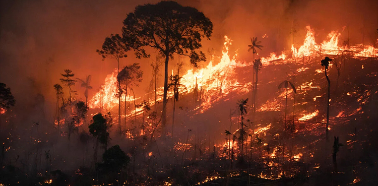 Brazil reports more Amazon fires so far this year than all of 2021