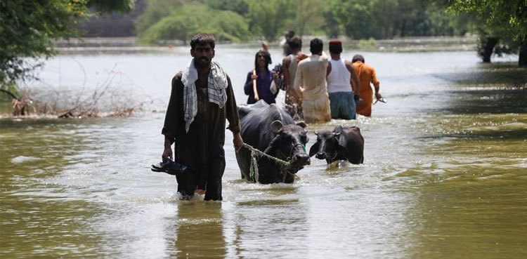 Gastro claims six lives in Khairpur flood relief camps in 24 hrs