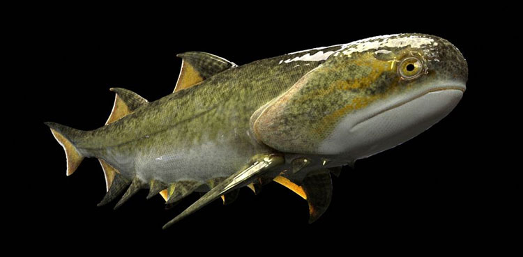 Chinese fish fossils take a bite out of mystery of origin of jaws