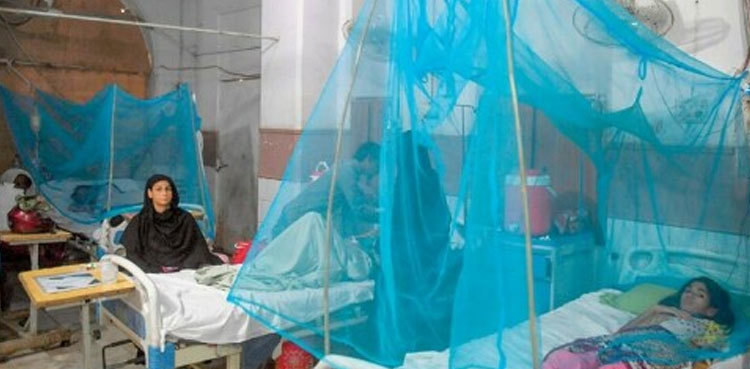 Dengue cases continue to rise in Karachi, infects 349 in 24 hours