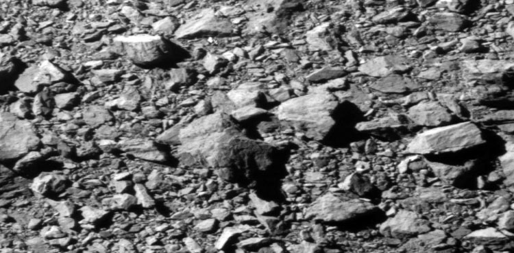 NASA's DART spacecraft hits target asteroid in first planetary defense test