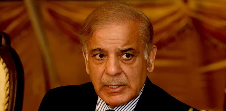 Pakistan likely to face wheat shortage in coming days: PM Shehbaz Sharif