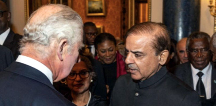 PM Shehbaz Sharif meets King Charles III