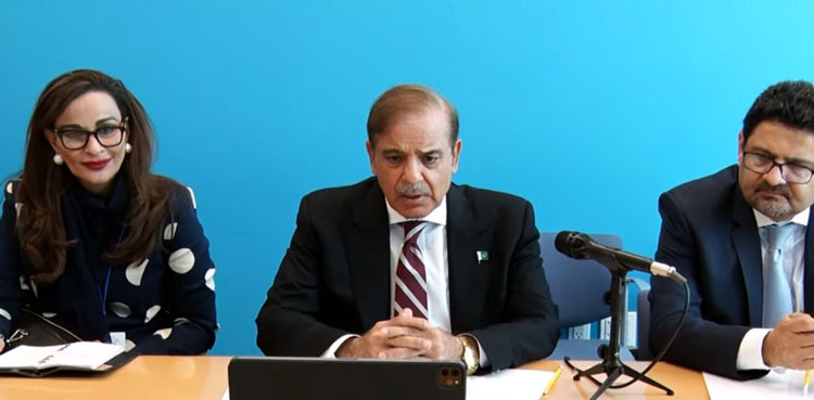 PM Shehbaz Sharif urges world to support Pakistan in providing relief to flood victims