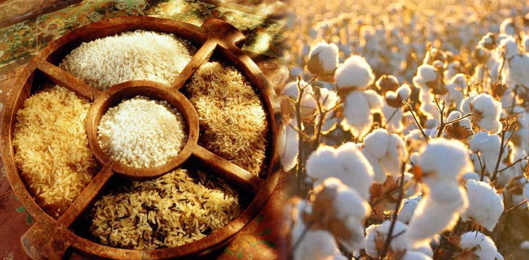 Is Pakistan in any position to increase exports?