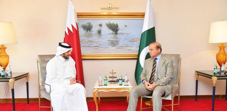 Qatar expresses keen interest for investment in Pakistan's multiple sectors
