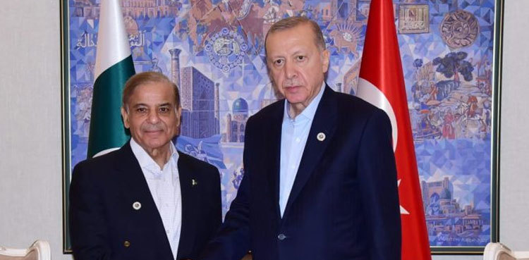 Pakistan, Turkiye agree to work on gas supply project from Russia