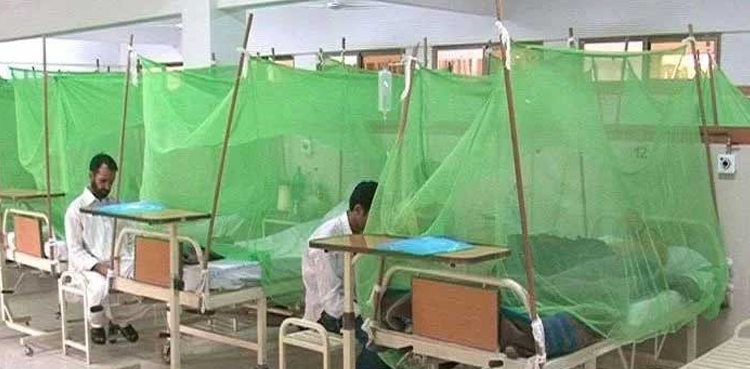 Dengue: PTI MPA urges Sindh govt to take effective measures