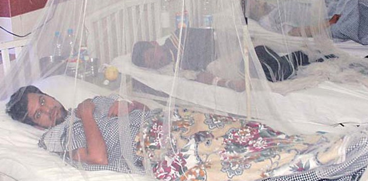 Health emergency imposed in Rawalpindi amid rising dengue cases