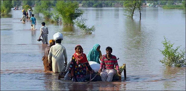 Floodwater poses drowning threat to Dadu, other cities
