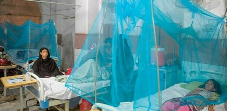 Islamabad like anti-dengue campaign launched in Karachi