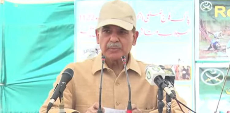 PM Shehbaz Sharif calls for sustainable system to tackle climate change