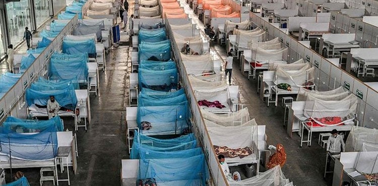 Balochistan reports 75 new dengue cases