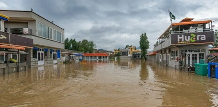 Floods: 'KP's healthcare system suffers Rs2billion losses'